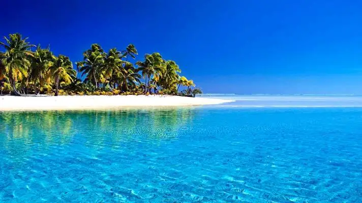 Tropical theme for Windows 10 Slideshow image 2