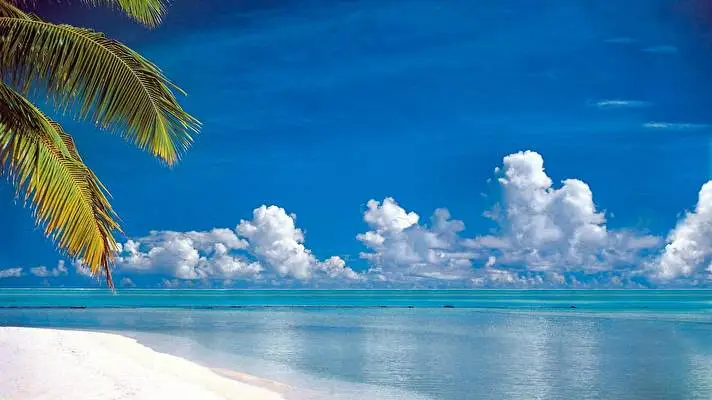 Tropical theme for Windows 10 Slideshow image 3