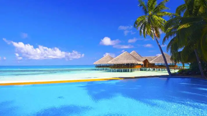 Tropical Paradise theme for Windows 10 Slideshow image 4