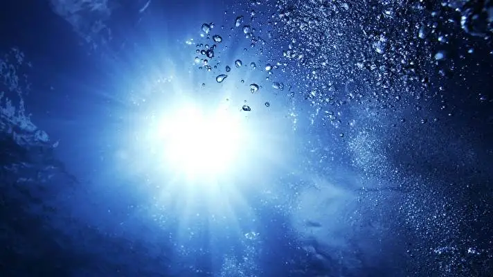 Unterwasser Thema für Windows 10 Diashow-Bild 2