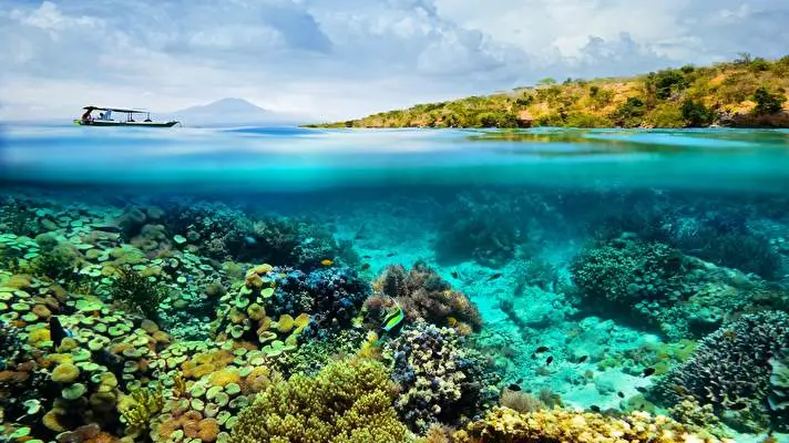 Unterwasser Thema für Windows 10 Diashow-Bild 4