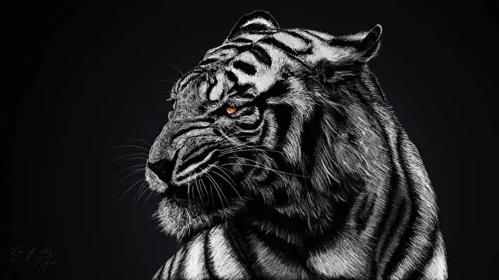 White Tiger theme for Windows 10 Slideshow image 4