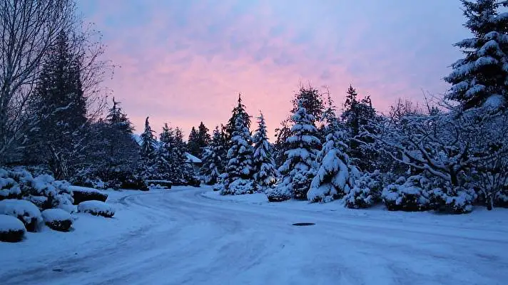 Winter Thema für Windows 10 Diashow-Bild 1