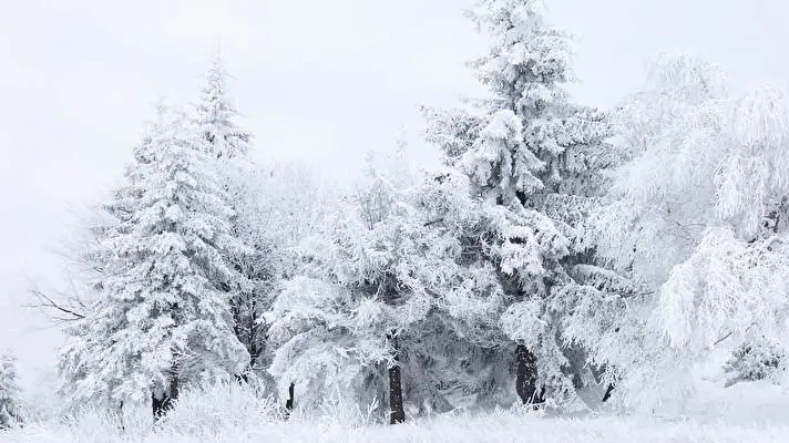 Winter Thema für Windows 10 Diashow-Bild 2