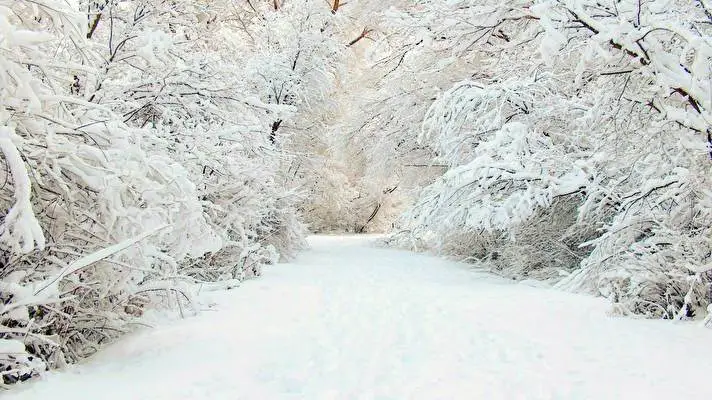 Winter Thema für Windows 10 Diashow-Bild 3