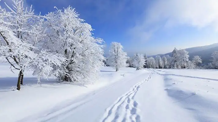 Winter Thema für Windows 10 Diashow-Bild 4