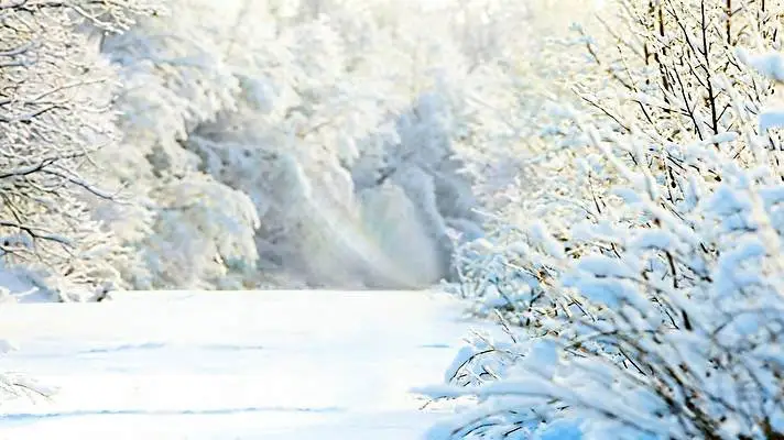 Winter Thema für Windows 10 Diashow-Bild 5