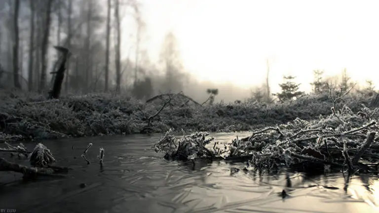 Winterwald Thema für Windows 10 Diashow-Bild 4