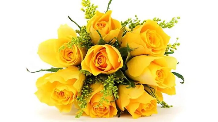 黄色い花 Windows 10用テーマ スライドショー画像 4