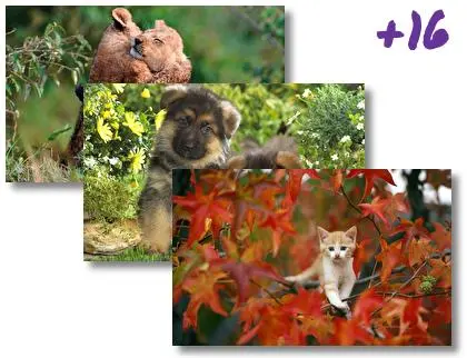 Baby Animals theme for Windows 10