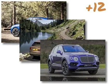 Bentley Bentayga Field Sports theme for Windows 10