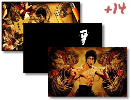Bruce Lee theme for Windows 10