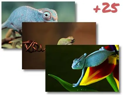 Chameleon theme for Windows 10