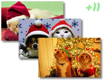 Christmas Cute Animals theme for Windows 10