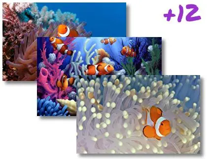 Clownfish theme for Windows 10