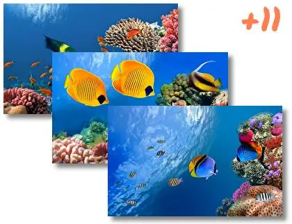 Coral theme for Windows 10