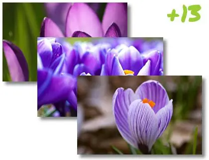 Crocus theme for Windows 10