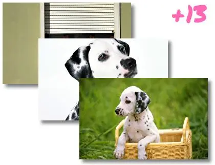 Dalmatian theme for Windows 10