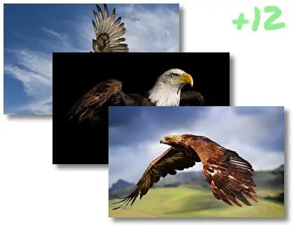 Eagle theme for Windows 10