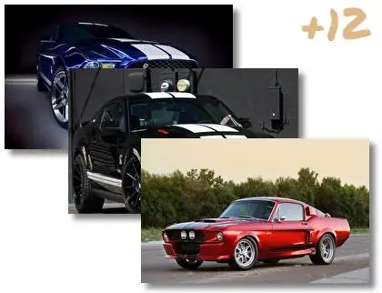 Ford Shelby Gt500 theme for Windows 10
