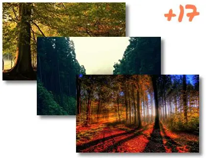 Forest theme for Windows 10