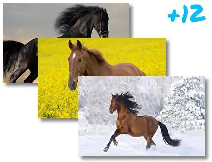 Horses theme for Windows 10