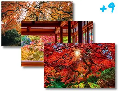 Japanese Autumn theme for Windows 10
