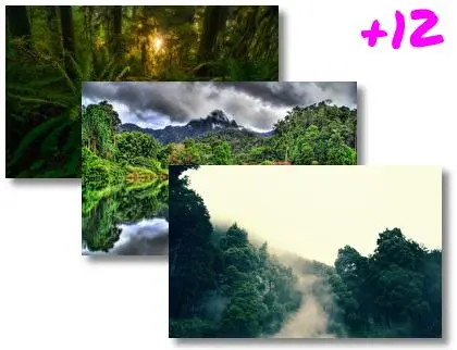 Jungle theme for Windows 10