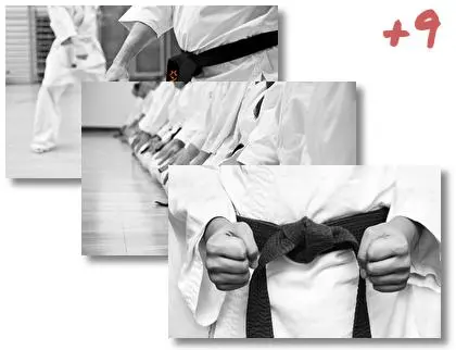 Karate theme for Windows 10