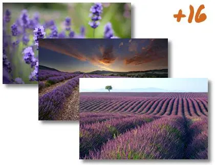 Lavender theme for Windows 10