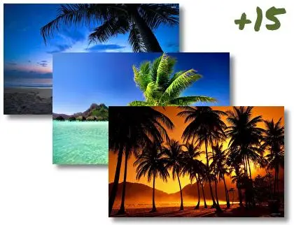 Palm Tree theme for Windows 10