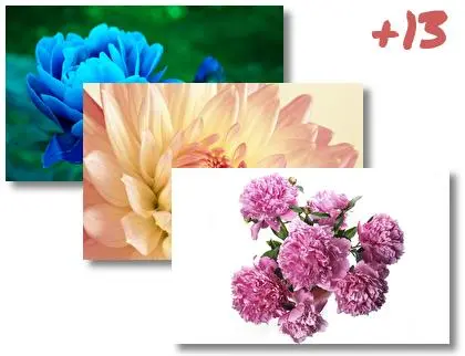 Peony theme for Windows 10