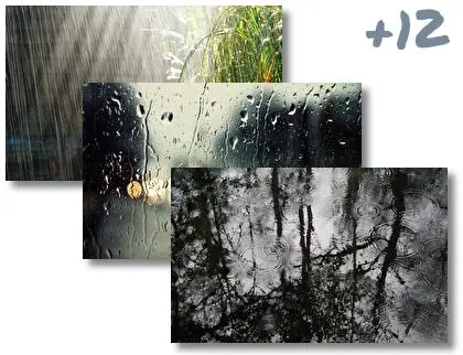 Rain In Forest theme for Windows 10