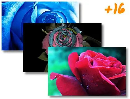 Rose theme for Windows 10