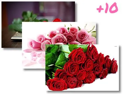 Roses theme for Windows 10