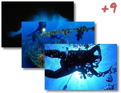 Scuba Diving theme for Windows 10