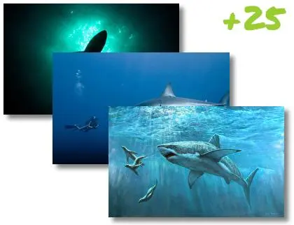 Shark theme for Windows 10