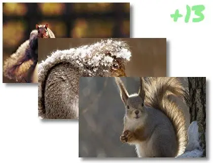 Squirrel theme for Windows 10