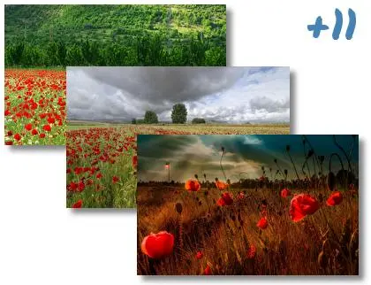 Summer Flowers theme for Windows 10