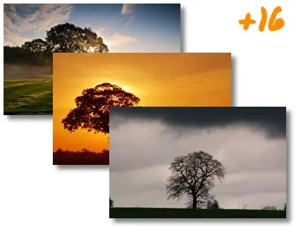 Tree theme for Windows 10