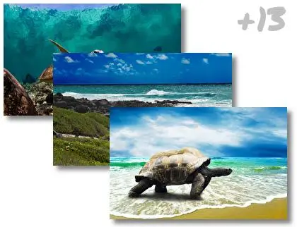Turtle theme for Windows 10