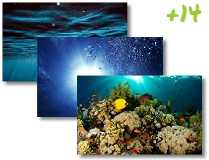 Underwater theme for Windows 10