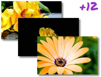 Yellow Flowers theme for Windows 10