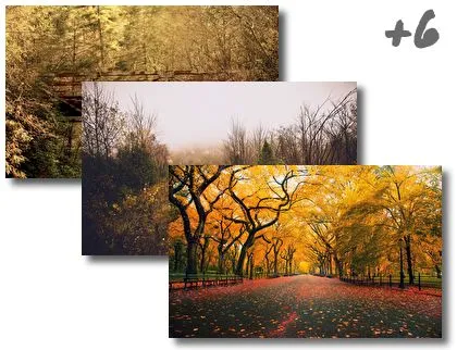 Autumn theme for Windows 10