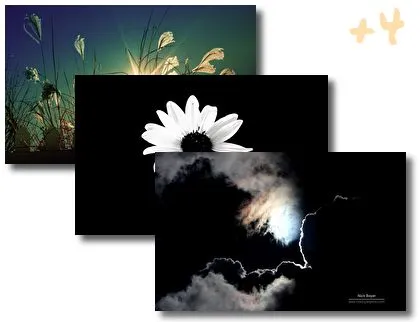 Light And Dark theme for Windows 10