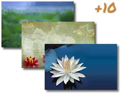 Lotus Flower theme for Windows 10