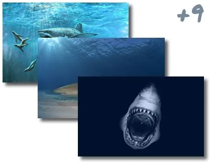 Sharks theme for Windows 10