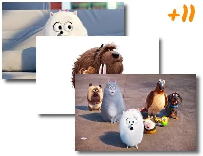 The Secret Life of Pets theme for Windows 10