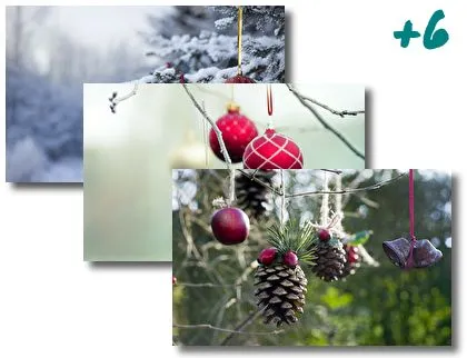 Tree Decor theme for Windows 10