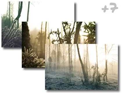 Winter Wood theme for Windows 10